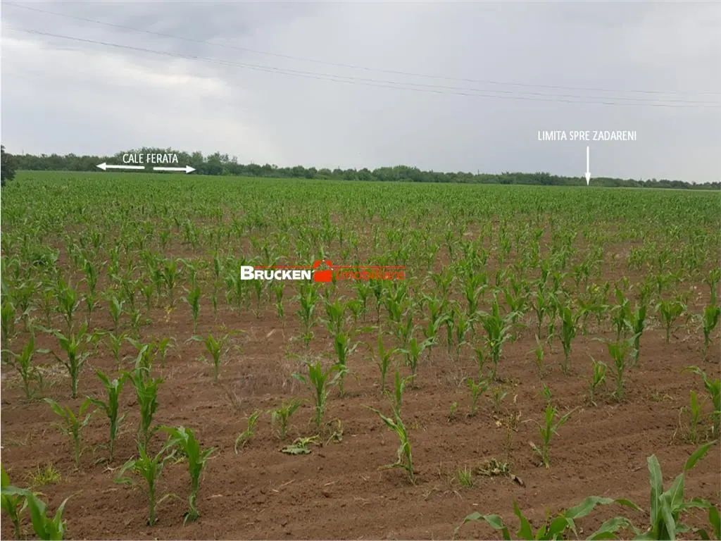TEREN CU POTENTIAL INDUSTRIAL | 4,35 HA | ARAD, ZADARENI - foto 7