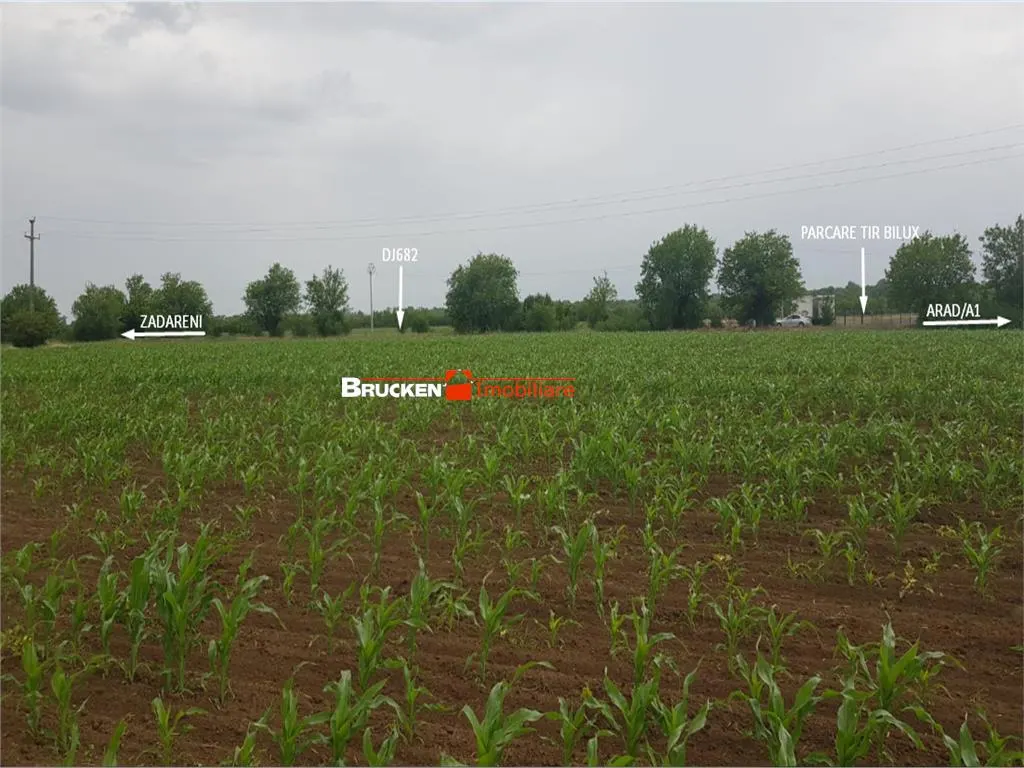 TEREN CU POTENTIAL INDUSTRIAL | 4,35 HA | ARAD, ZADARENI - foto 8