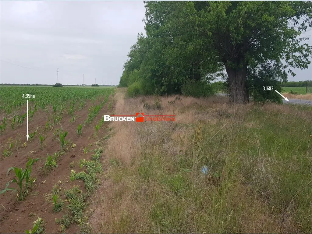 TEREN CU POTENTIAL INDUSTRIAL | 4,35 HA | ARAD, ZADARENI - foto 9