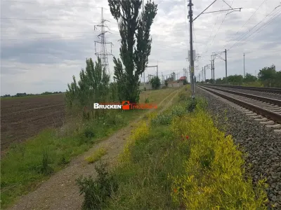 113,21 ha in nordul Aradului, la iesirea de pe drumul expres - foto 6