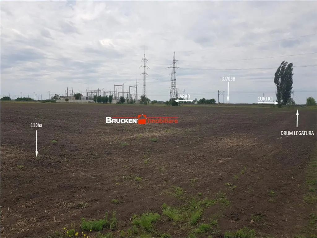 113,21 ha in nordul Aradului, la iesirea de pe drumul expres - foto 7