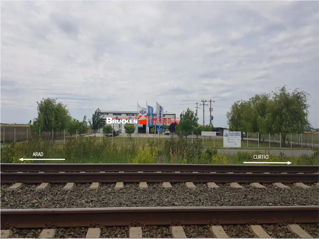 113,21 ha in nordul Aradului, la iesirea de pe drumul expres - foto 8