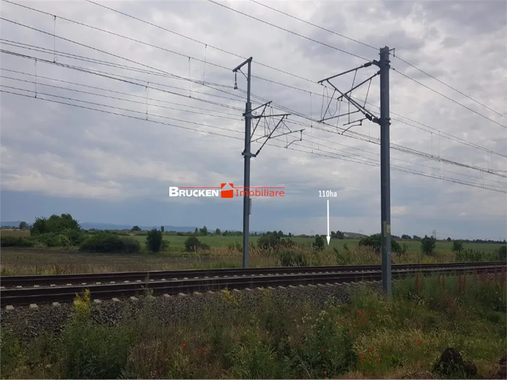 113,21 ha in nordul Aradului, la iesirea de pe drumul expres - foto 9