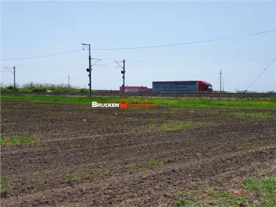 113,21 ha in nordul Aradului, la iesirea de pe drumul expres - foto 10