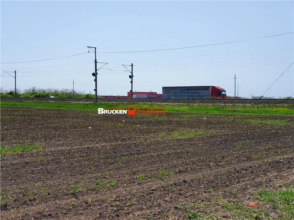 113,21 ha in nordul Aradului, la iesirea de pe drumul expres - foto 10