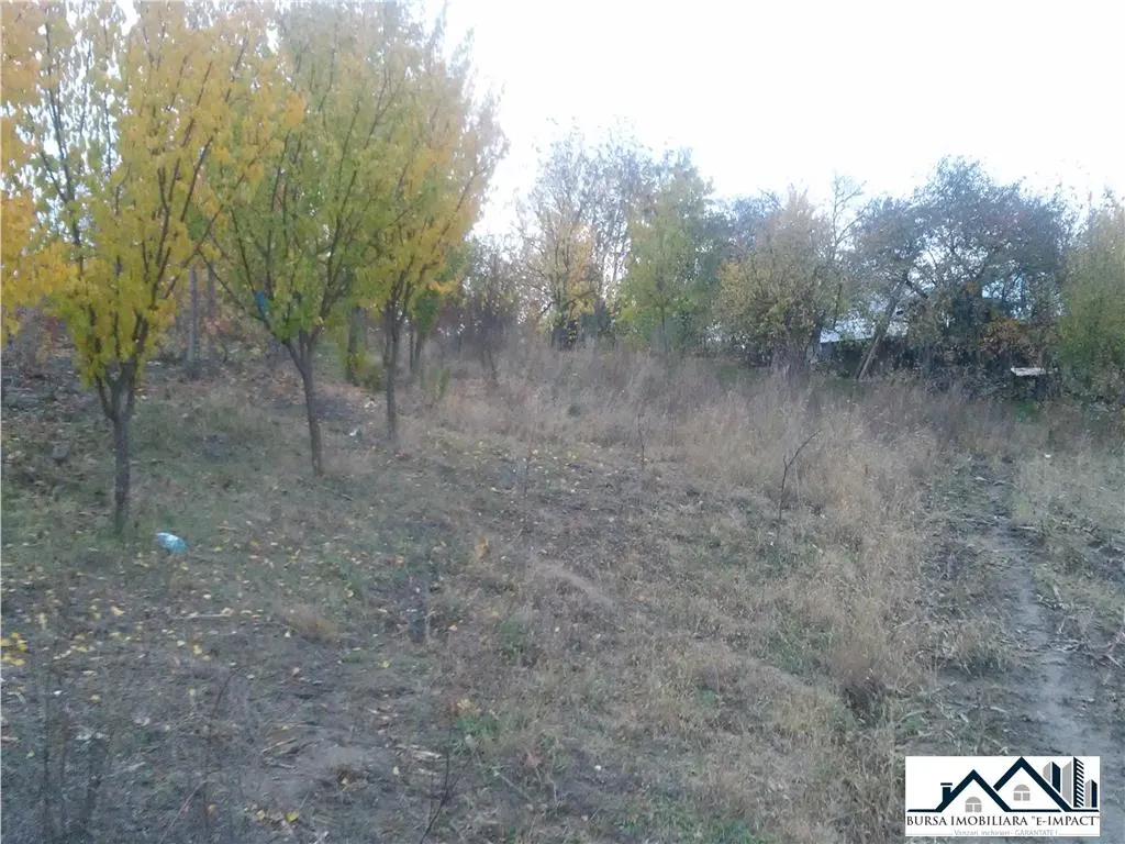 TEREN INTRAVILAN -de constructii, S=3600 mp, loc. Grivita, 21 000 Euro - foto 1