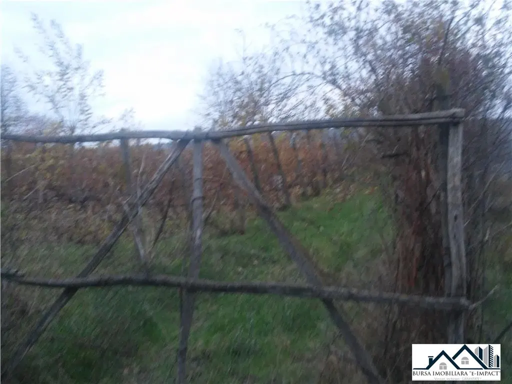 TEREN INTRAVILAN -de constructii, S=3600 mp, loc. Grivita, 21 000 Euro - foto 3