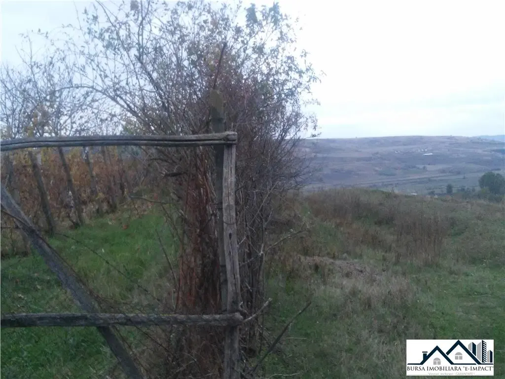 TEREN INTRAVILAN -de constructii, S=3600 mp, loc. Grivita, 21 000 Euro - foto 4
