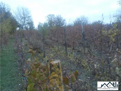 TEREN INTRAVILAN -de constructii, S=3600 mp, loc. Grivita, 21 000 Euro - foto 5