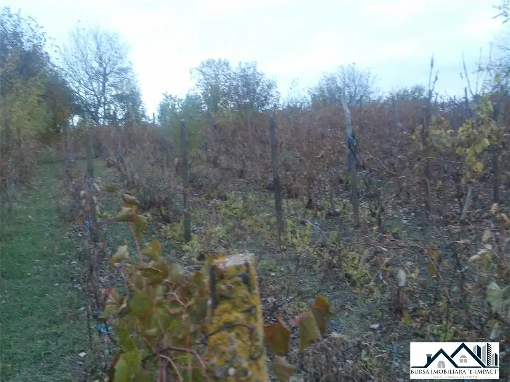 TEREN INTRAVILAN -de constructii, S=3600 mp, loc. Grivita, 21 000 Euro - foto 5