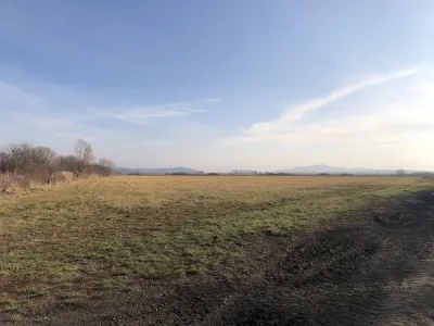 50.000 mp, Bod, Brasov - Bod