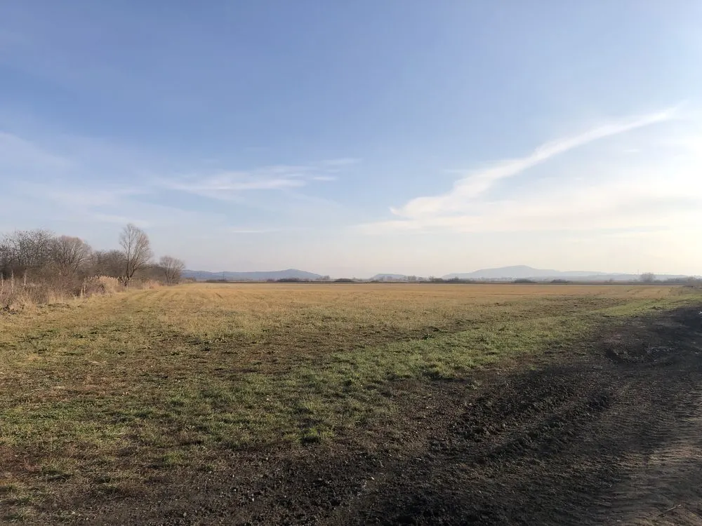 50.000 mp, Bod, Brasov - foto 1