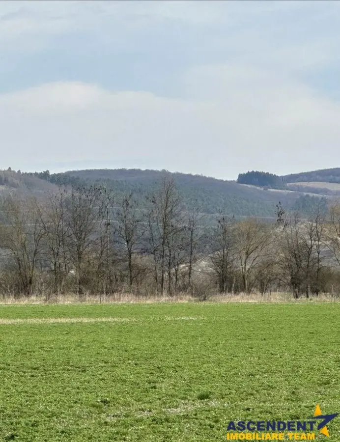 50.000 mp, Bod, Brasov - foto 2