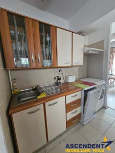 Penthouse, Predeal - foto 11