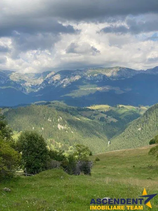 8.000 mp teren, Fundata - foto 11