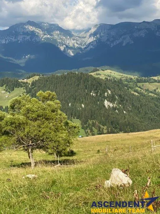 8.000 mp teren, Fundata - foto 12
