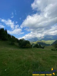 8.000 mp teren, Fundata - foto 4