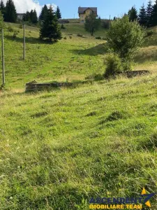 8.000 mp teren, Fundata - foto 8