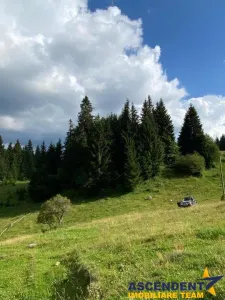 8.000 mp teren, Fundata - foto 10