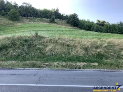 5.000 mp teren, front la strada principala, vedere panoramica, Moieciu, Brasov - foto 2