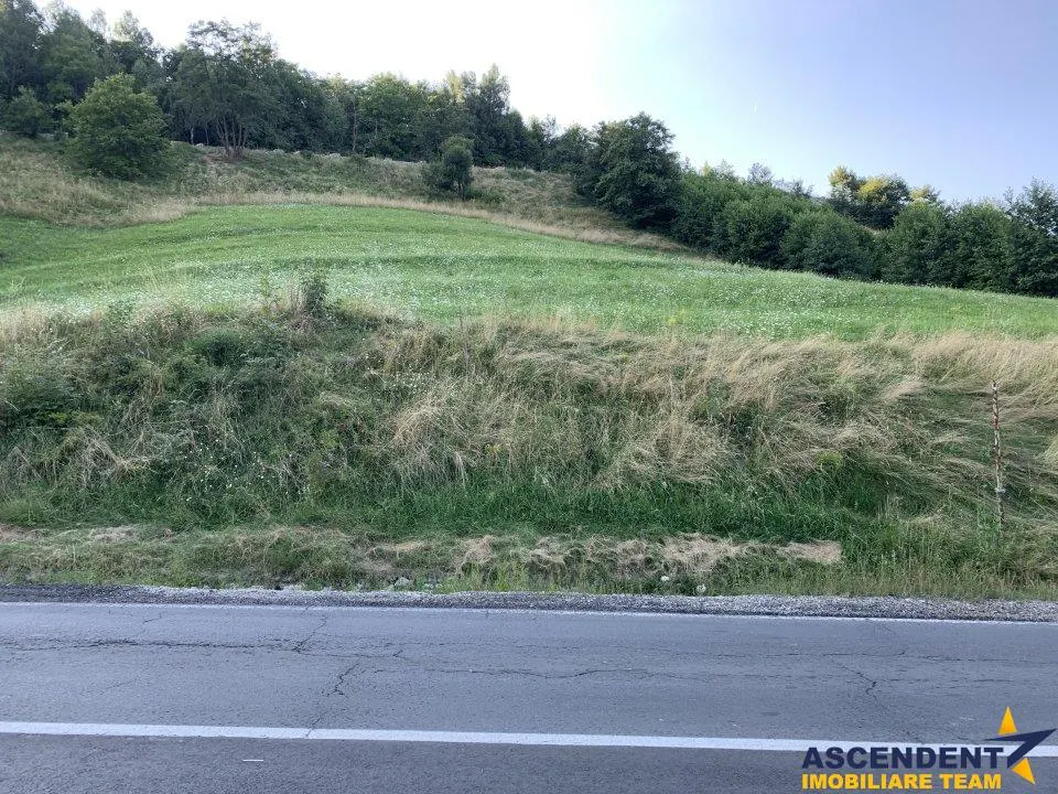 5.000 mp teren, front la strada principala, vedere panoramica, Moieciu, Brasov - foto 2