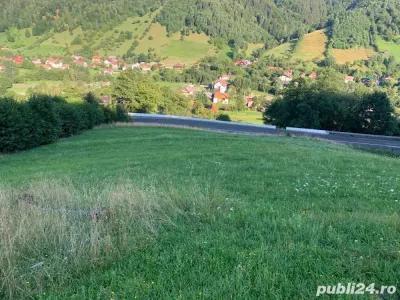 5.000 mp teren, front la strada principala, vedere panoramica, Moieciu, Brasov - foto 13