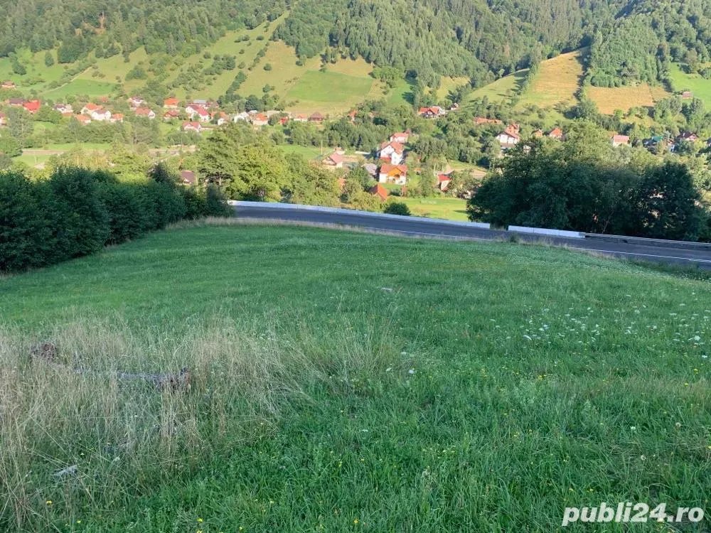 5.000 mp teren, front la strada principala, vedere panoramica, Moieciu, Brasov - foto 13