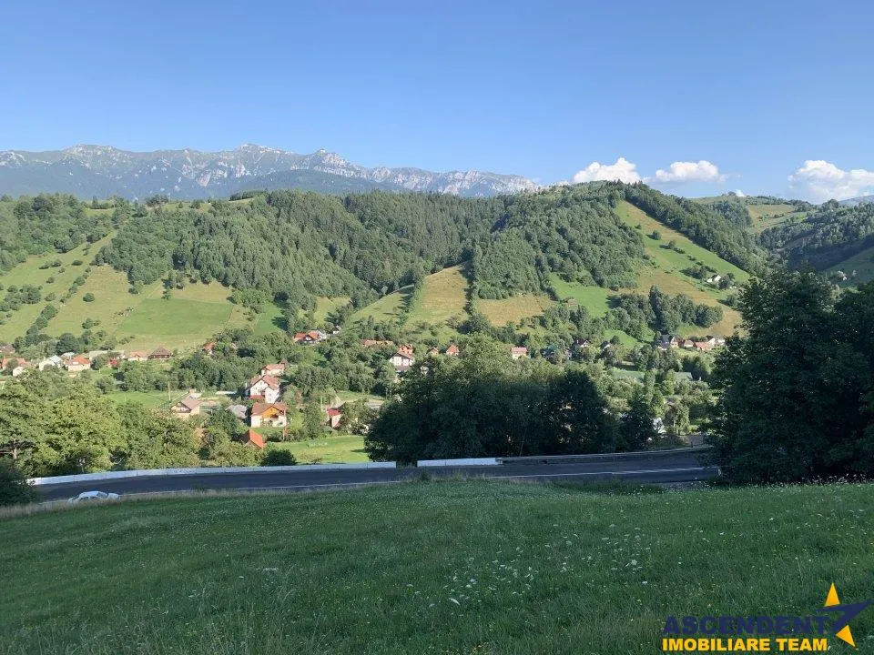 5.000 mp teren, front la strada principala, vedere panoramica, Moieciu, Brasov - foto 4