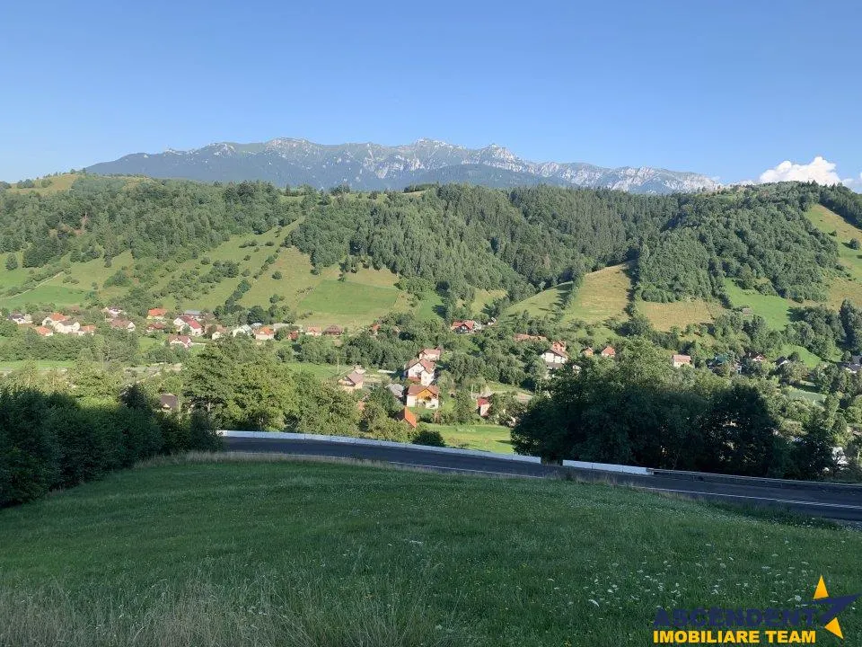 5.000 mp teren, front la strada principala, vedere panoramica, Moieciu, Brasov - foto 5
