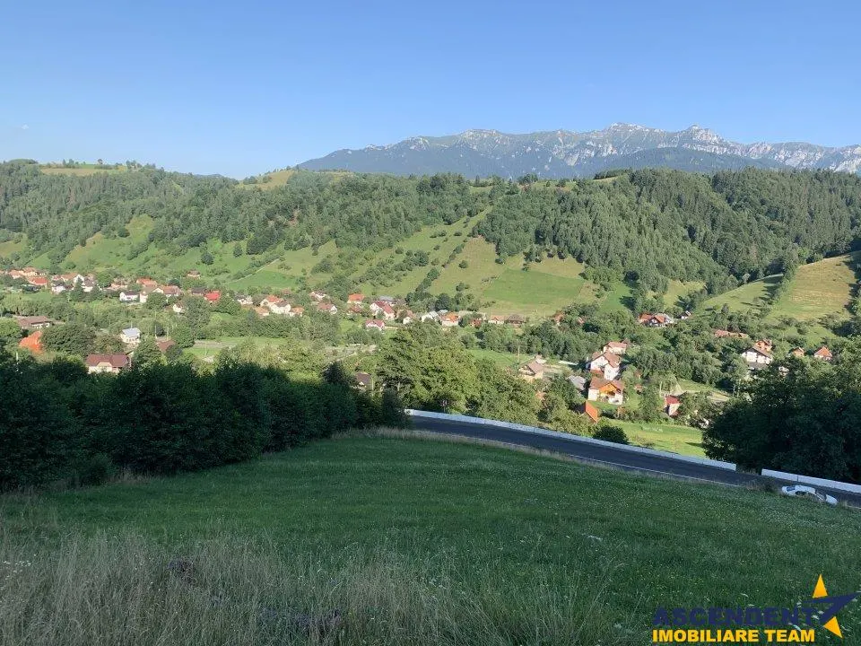 5.000 mp teren, front la strada principala, vedere panoramica, Moieciu, Brasov - foto 7