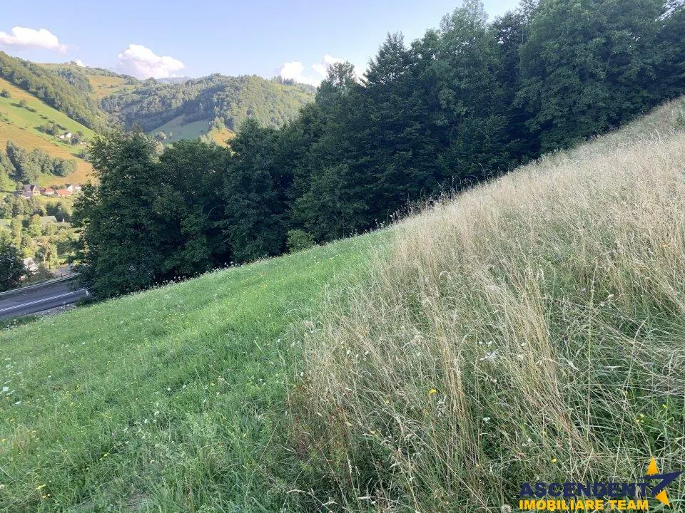 5.000 mp teren, front la strada principala, vedere panoramica, Moieciu, Brasov - foto 10