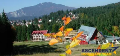 9.000mp teren intravilan, configuratie frumoasa, Cioplea, Predeal, Brasov - Brasov