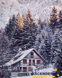 La poalele muntilor Piatra Craiului,pe domeniu de 4.000 mp teren, Brasov - Brasov
