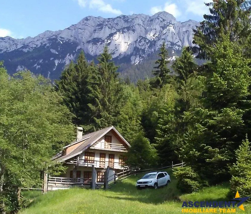 La poalele muntilor Piatra Craiului,pe domeniu de 4.000 mp teren, Brasov - foto 5