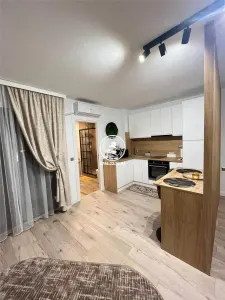 REPREZENTARE EXCLUSIVA! Studio premium de vanzare â€“ Centru - Palas | Investitie excelenta regim hotelier - foto 9