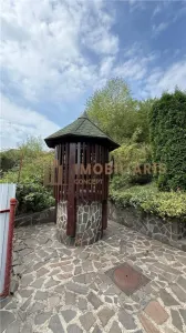 Casa individuala cu etaj zona Sanatatii - foto 19