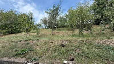 Casa individuala cu etaj zona Sanatatii - foto 24