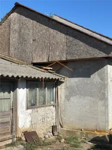 Casa Bogza/ Sihlea - foto 17