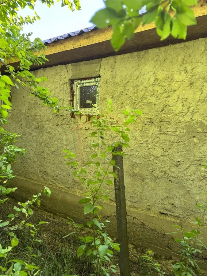 Casa Bogza/ Sihlea - foto 8
