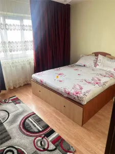 Apartament 2 camere zona Malu Rosu - foto 3