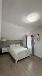Casa individuala cu 29 ari de teren de vanzare, Coltirea - foto 13