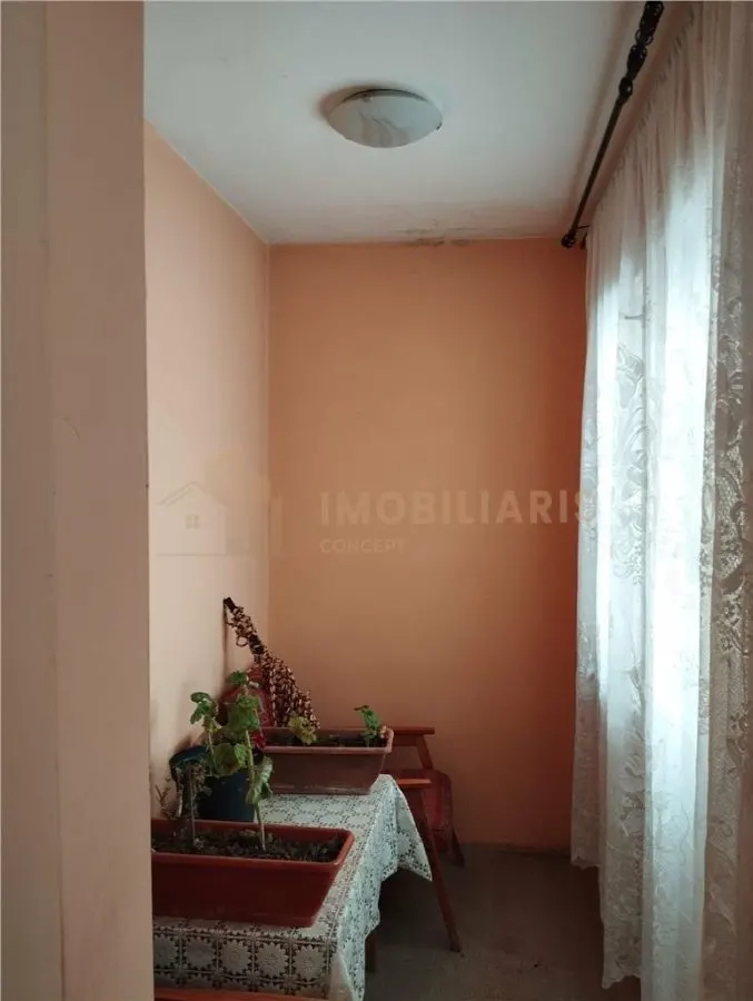 Casa individuala Satu Nou de Sus - foto 11