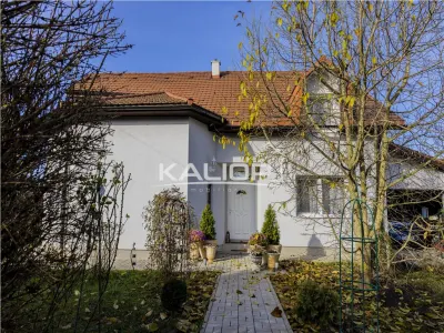 Casa individuala 6 camere I 228 mp I teren 2900 mp I Manastirea zona Dej - foto 2
