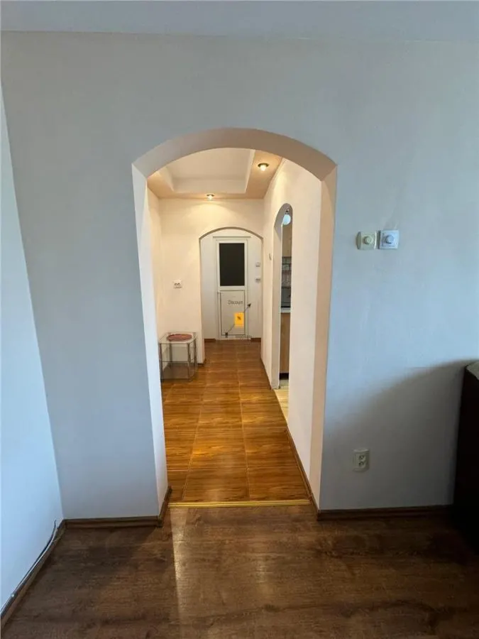 Apartament 2 camere zona Eremia Grigorescu - foto 6