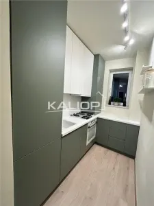 Apartament 3 camere lux | 65mp | Grigorescu zona Donath - foto 3