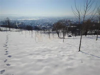 Parcele de teren de vanzare, zona Nucului - foto 3