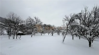 Teren Extravilan, zona Nucului - Baia Mare