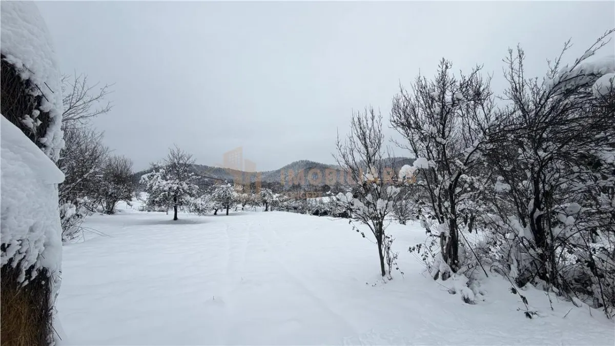 Teren Extravilan, zona Nucului - foto 2