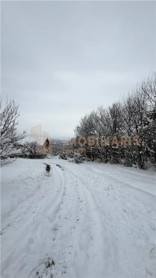 Teren Extravilan, zona Nucului - foto 3
