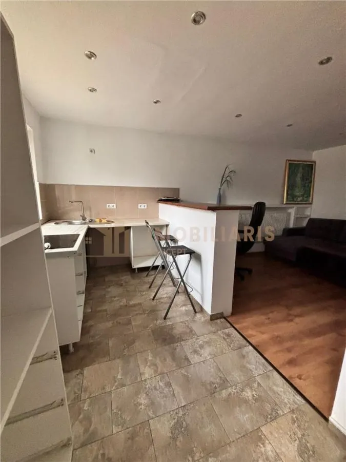 Casa individuala de vanzare Baia Mare zona Vasile Alecsandri. - foto 18